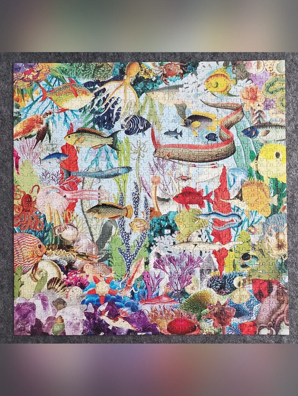 Eeboo Sealife Puzzle